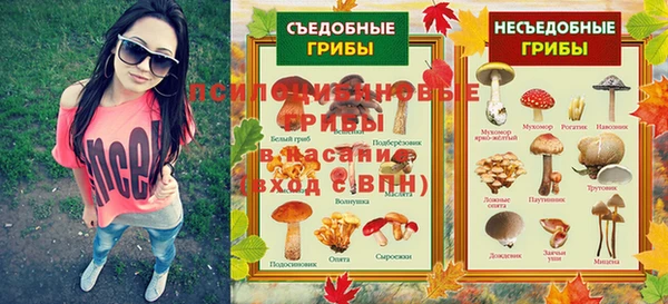твердый Алексин