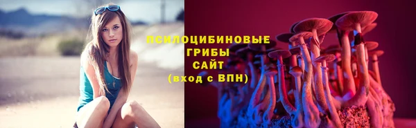 твердый Алексин