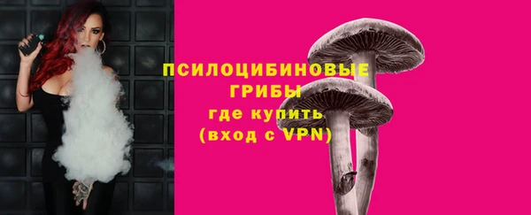МДПВ Алзамай