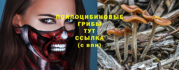 твердый Алексин