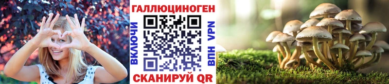 Псилоцибиновые грибы Magic Shrooms  купить наркоту  Лесосибирск 